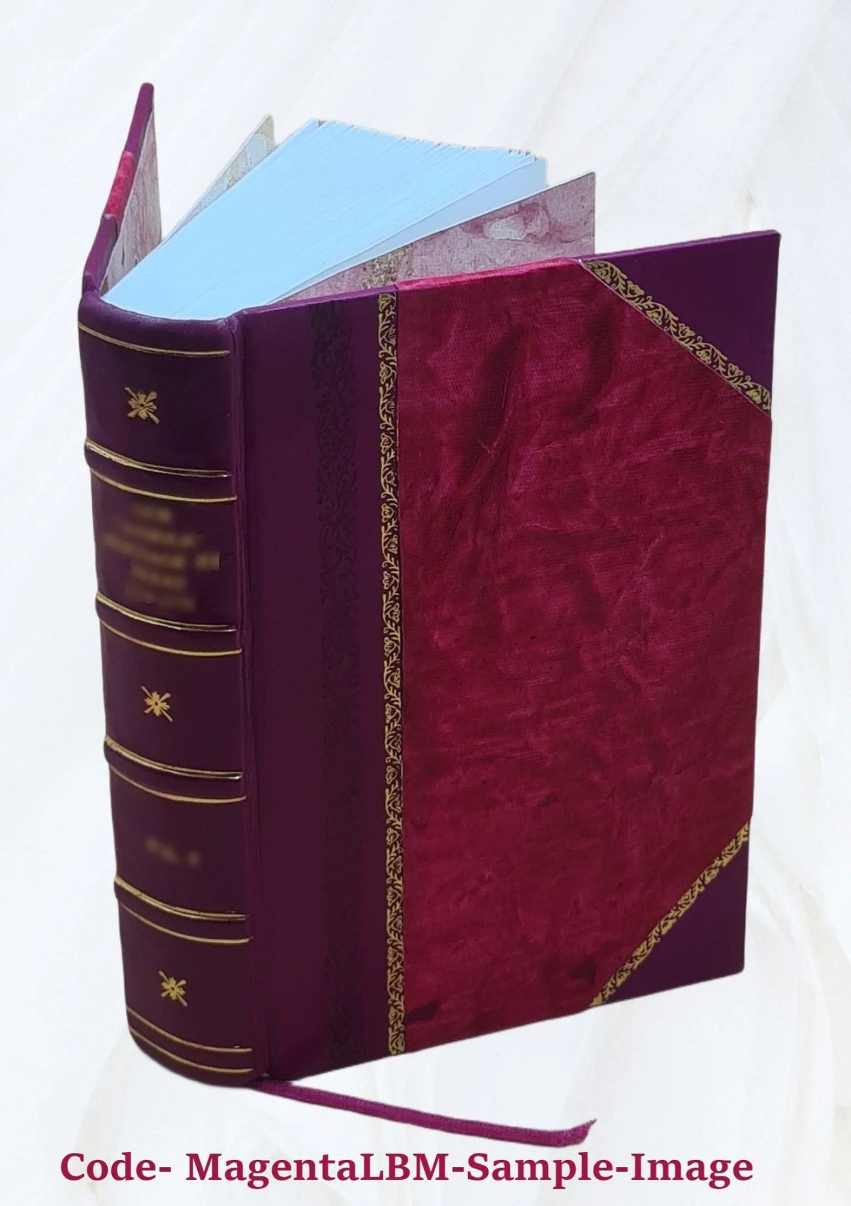 Sanctum Jesu Christi evangelium : secundum Matthaeum, secundum Marcum, secundum Lucam, secundum Joannem ; Acta apostolorum ([Reprod.]) 1531 [Leather Bound]