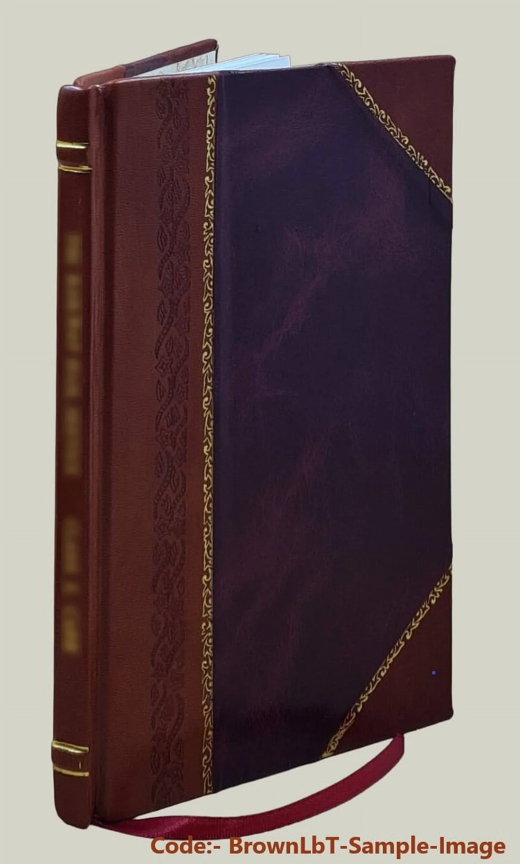 Carbon column operation in waste Liquid treatment. - 1970 [Leather Bound]