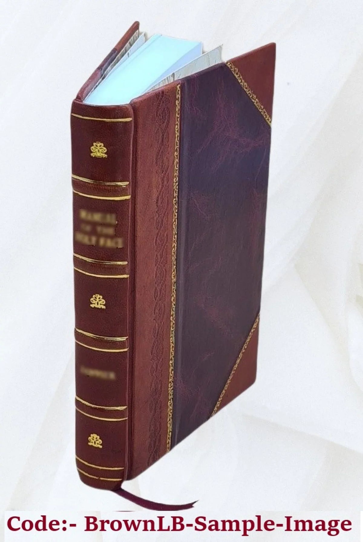 Funʹm yarid. Volume v.01 1917 [Leather Bound]