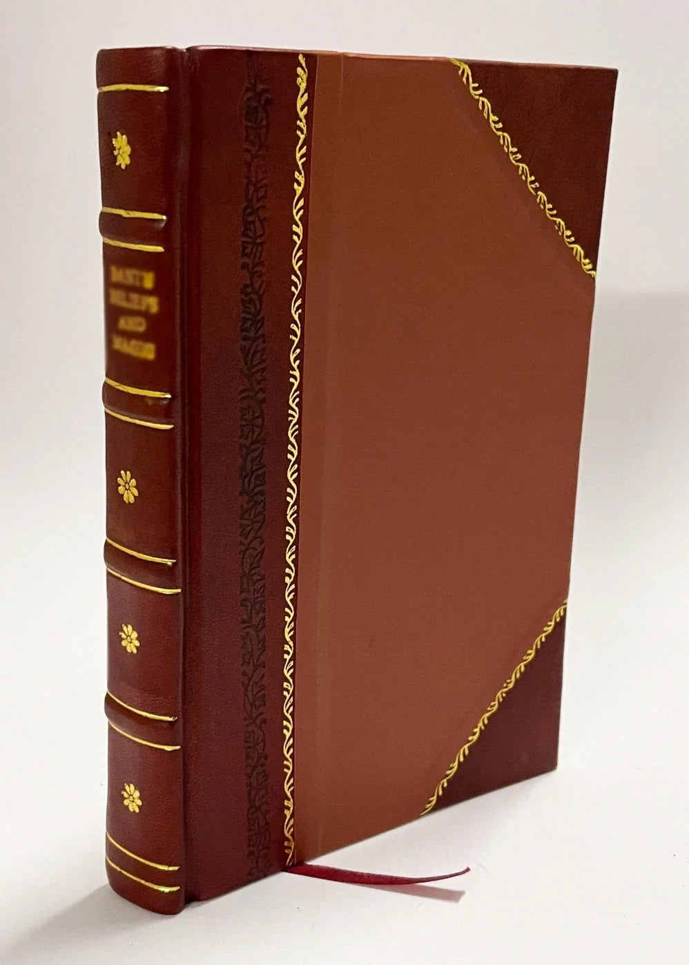 Magica De Spectris Et Apparitionibus Spiritu, De Vaticiniis, Divinationibus... / 1656 Edition (1656) [Leather Bound]